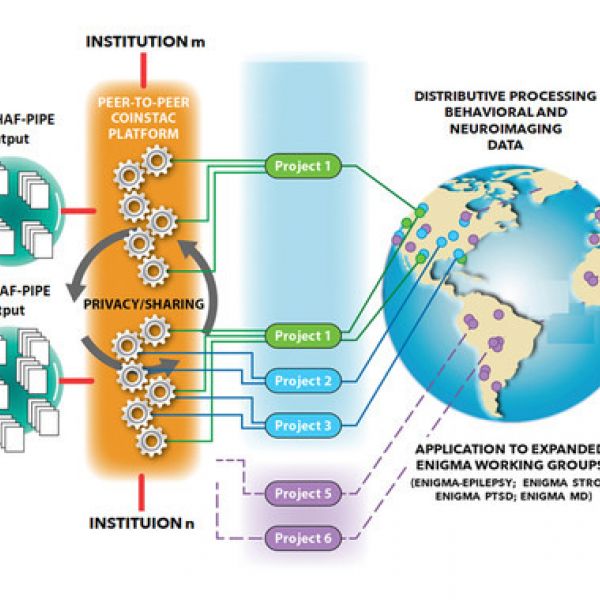 The Collaborative Informatics and Neuroimaging Suite Toolkit for Anonymous Computation (COINSTAC) platform is a peer to peer system that operates to make data available for analysis, while protecting anonymity and privacy. COINSTAC makes possible virtual sharing and analyses with identified collaborators in the absence of moving any data. Collaboration and data sharing are done through forming temporary virtual clusters of studies performing automatically generated local computation on their respective data and aggregating statistics. (IMAGE: Courtesy of Frank Hillary)