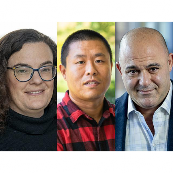 From left are: Jill Hamilton, Wenrui Hao and Gustavo Nader Credit: Penn State. Creative Commons