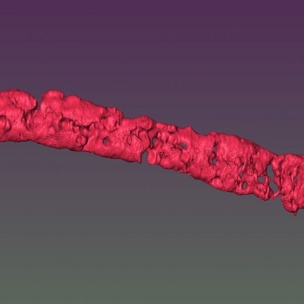 Reconstructed 3D image of porous tissue strand using magnetic resonance imaging. IMAGE: OZBOLAT LABORATORY / PENN STATE