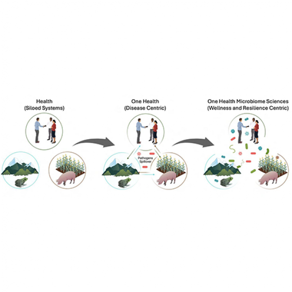 The arc of health frameworks grew over time from one that siloed human, agricultural and environmental ecosystems from each other to a One Health structure that focused on pathogen spillovers shaping the risk of disease across ecosystems. An expanded vision of One Health microbiome sciences from Penn State incorporates the ecology of all microbes. It emphasizes that the flow of both disease-causing and health-promoting microbes links humans, environment and agriculture together to shape the sustainability of ecosystem wellness and resilience. This One Health framework intentionally unifies the microbiome sciences to advance core disciplinary theories and principles with cross-system validation and comparative studies, according to the researchers. Credit: Provided by the researchers. All Rights Reserved.