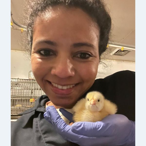 Ana Fonseca, graduate assistant in animal science who spearheaded the research, with a chick like those involved in the study. Credit: Penn State. Creative Commons