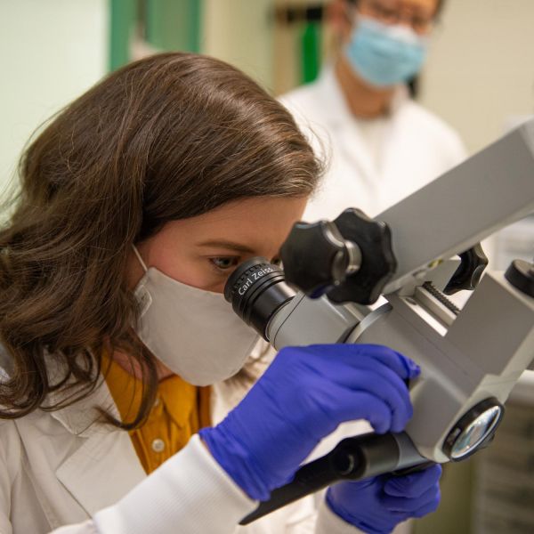 Nikki Beloate, assistant research professor, peers through a microscope in the laboratory of Nanyin Zhang, professor of biomedical engineering and director of the newly established Center for Neurotechnology in Mental Health Research. She is one of several researchers across Penn State who will contribute to the center. Credit: Kelby Hochreither/Penn State. All Rights Reserved.