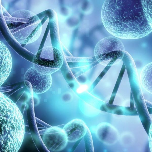 Preview image for Advancing Structural and Functional Characterization Of Biomolecules