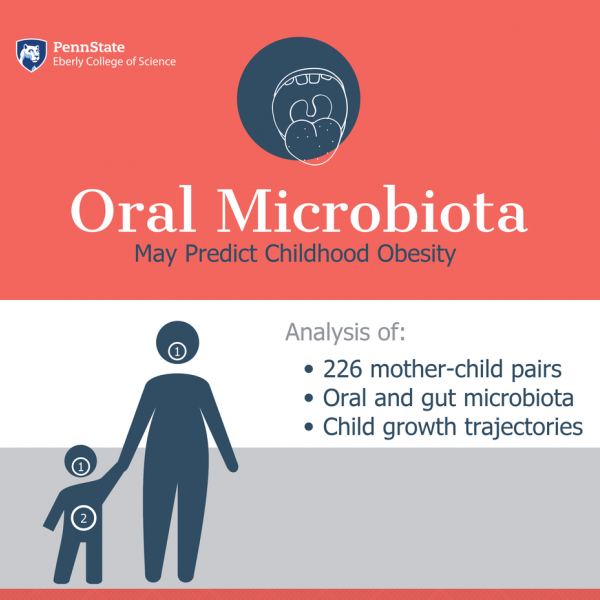 Oral microbiota of two-year-old children is related to rapid infant weight gain, a strong risk factor for childhood obesity.