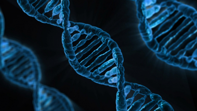 With a newly created algorithm that quickly locates and helps elucidate the complex functions of topologically associating domains (TADs), researchers are making it easier to study these important structures and help prevent disease. IMAGE: CC0 PUBLIC DOMAIN