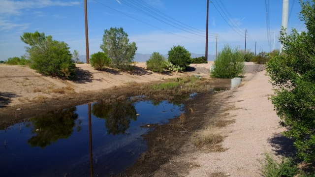 The research findings were unique because they documented for the first time the reduced flashiness of arid urban streams in the West and showed what a big role so-called “dry weather flows” are playing in overall streamflow patterns. IMAGE: LAUREN MCPHILLIPS