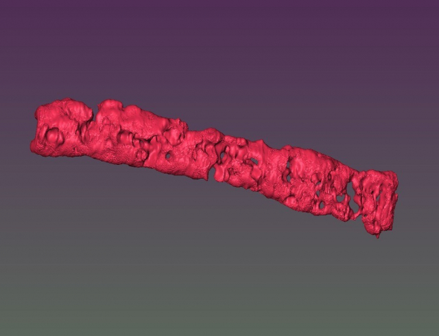 Reconstructed 3D image of porous tissue strand using magnetic resonance imaging. IMAGE: OZBOLAT LABORATORY / PENN STATE