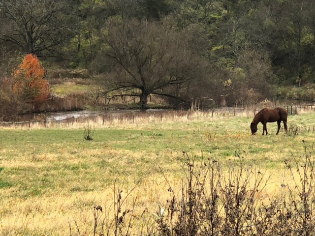 Researchers used the Spring Creek watershed — which drains an area of about 150 square miles into Bald Eagle Creek, a tributary of the Susquehanna River — for the project because it is one of the best-studied watersheds in the Chesapeake drainage. IMAGE: SUE MORGAN