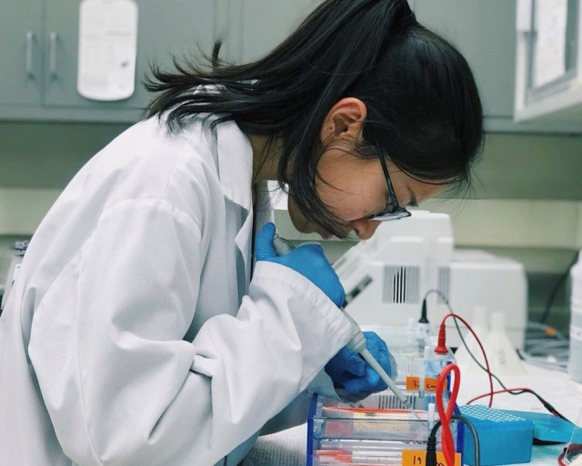 Researcher Xiaoqing Tan, a recently graduated master’s degree student in food science and a member of the Microbiome Center, Huck Institutes of the Life Sciences, tests bacteria samples from apple-processing plants in the laboratory. IMAGE: PENN STATE