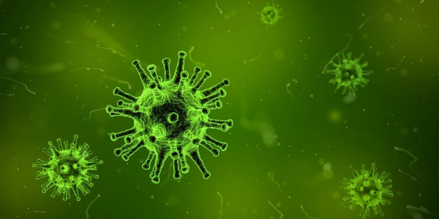 Before modern medicine, stigmatization may have been the most effective way humans had for dealing with the spread of infectious diseases. Now, a game theory model supports the idea that stigmatizing people who have a disease may cause more harm than good. IMAGE: PIXABAY