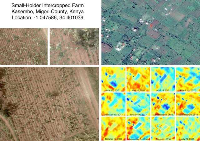 A grant from the Bill and Melinda Gates Foundation will enable Penn State researchers to explore whether high-resolution satellite imagery can accurately identify insect and disease damage to crops on small African farms.