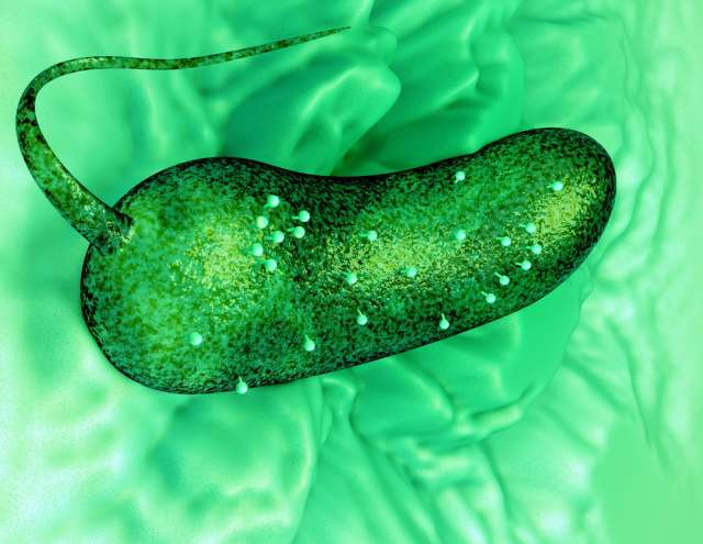 Liquid-Cell Electron Tomography (LC-ET) offers an exciting technical advance to study dynamic materials in solution. The figure illustrates how LC-ET was used to define the “rules of engagement” for pathogenic phages and its host bacterium. IMAGE: KELLY LAB/PENN STATE