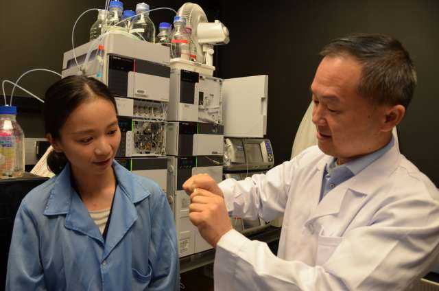 Jian Yang with Ph.D. student Chuying Ma displaying a bendable citrate-based material for bone repair. IMAGE: WALT MILLS / PENN STATE