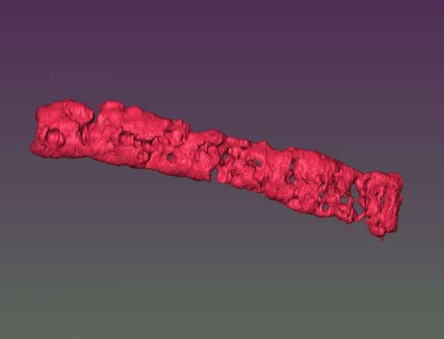 Reconstructed 3D image of porous tissue strand using magnetic resonance imaging. IMAGE: OZBOLAT LABORATORY / PENN STATE