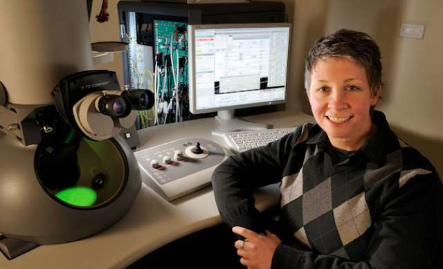 Deborah Kelly will continue her revolutionary, cross-disciplinary research at Penn State starting in January 2019.