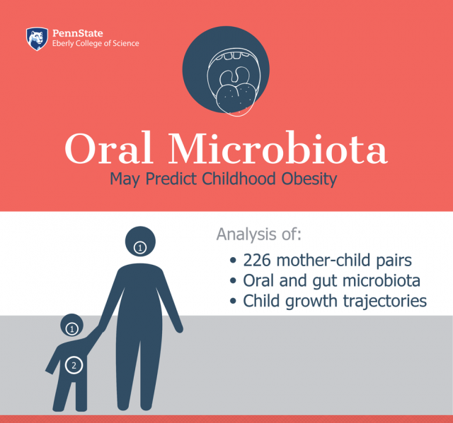 Oral microbiota of two-year-old children is related to rapid infant weight gain, a strong risk factor for childhood obesity.
