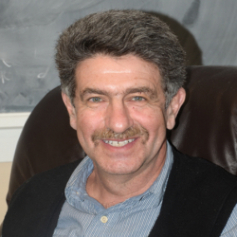 Leonid Berlyand