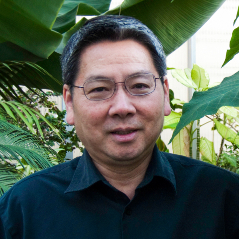 Teh-hui Kao