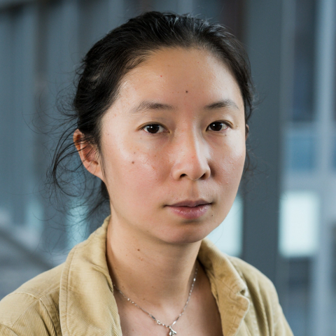 Qunhua Li