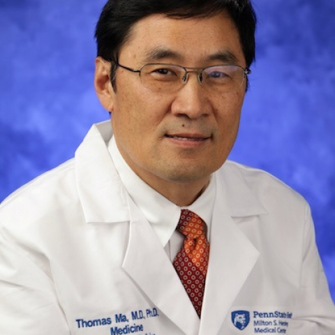 Thomas Ma